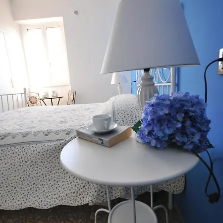 Rosa Dei Venti Viareggio